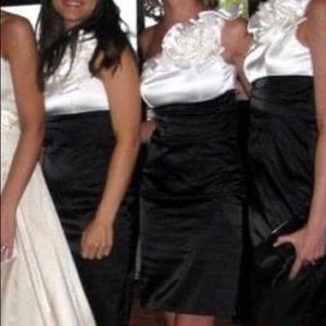 Adrianna Papell cocktail/bridesmaid dress